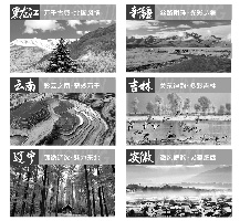 中国好食材B2B2C平台